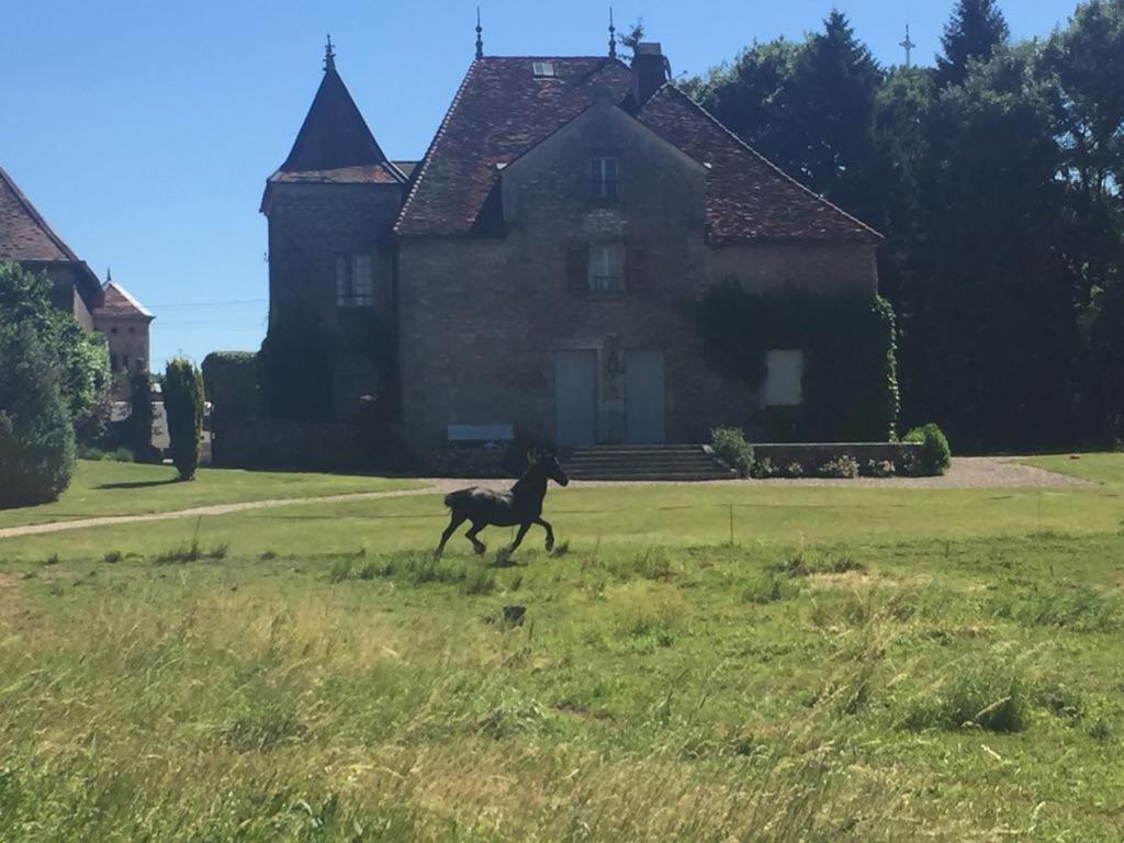 Apartament Au Chateau Miserey-Salines Zewnętrze zdjęcie